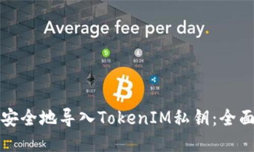 如何安全地导入TokenIM私钥：全面指南