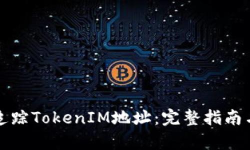 如何有效追踪TokenIM地址：完整指南与实用技巧