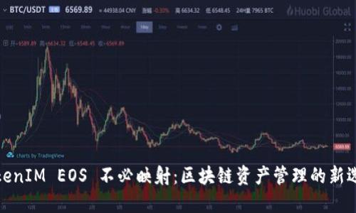 TokenIM EOS 不必映射：区块链资产管理的新选择