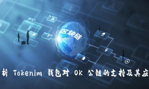 全面解析 Tokenim 钱包对 OK 公链的支持及其应用前景